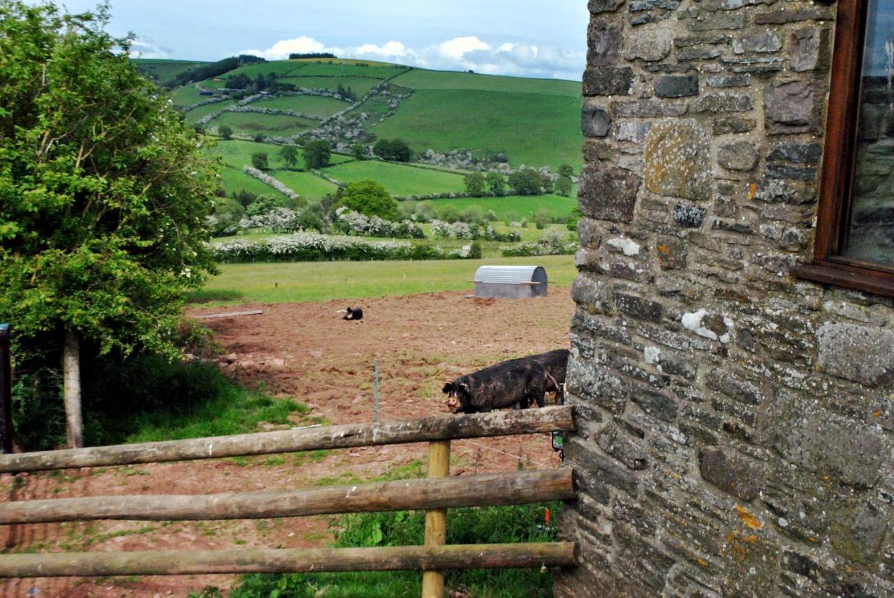 Eco Cottage Joe The Buck Craven Arms Exterior photo
